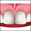 Learn Health Science Animated Demo